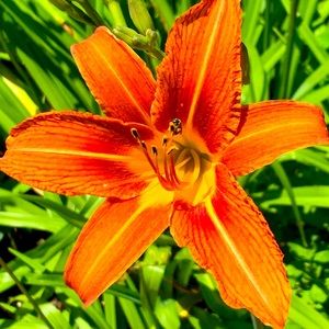 Meet your Posher, Ruby